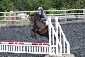 Class 3 -  Fences not above 2'3